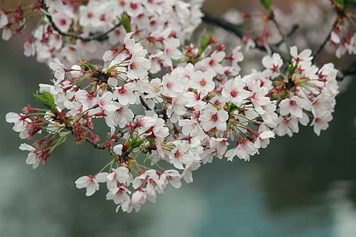 IMG_6638_副本.jpg