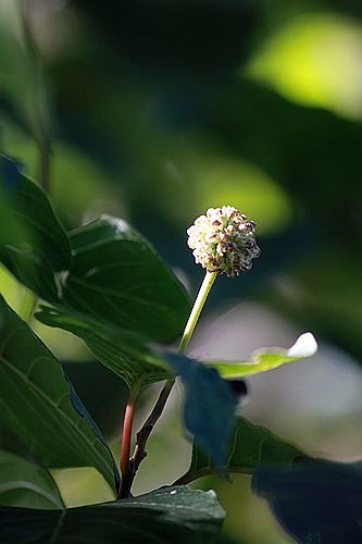 IMG_8139_副本.jpg