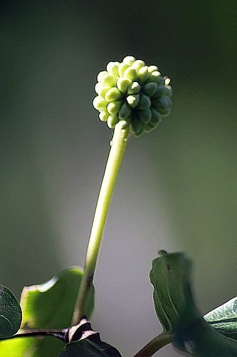 IMG_8140_副本.jpg