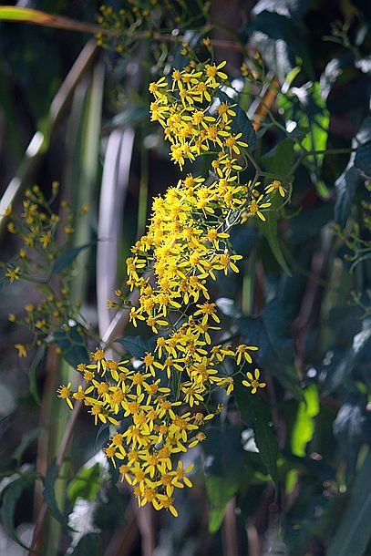 IMG_8188_副本.jpg