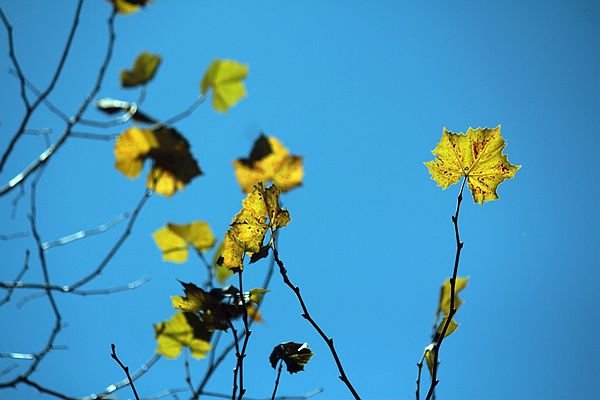 IMG_8232_副本.jpg