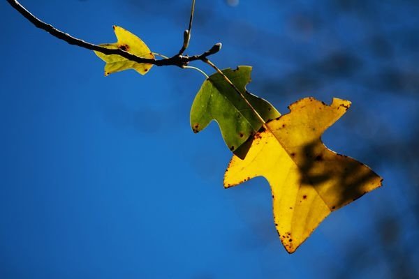 IMG_8241_副本.jpg