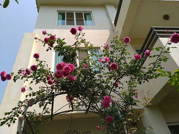 IMG_20190321_105206_副本.jpg