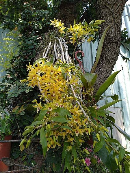 IMG_20190423_103652_副本.jpg