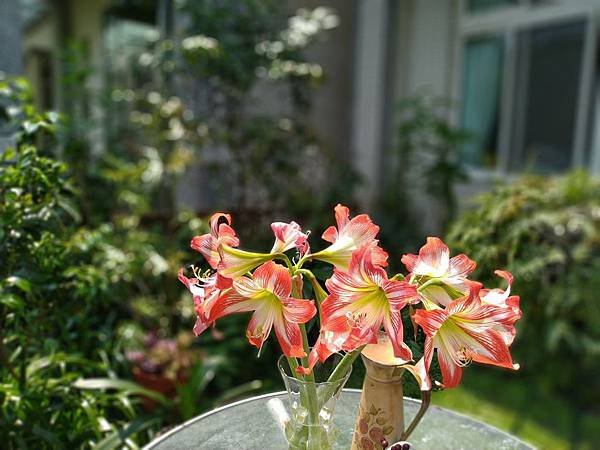 IMG_20190423_104353_副本.jpg