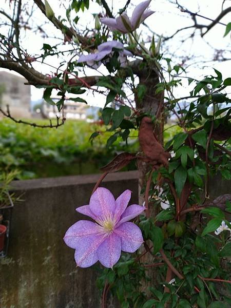 IMG_20190426_181057_副本.jpg