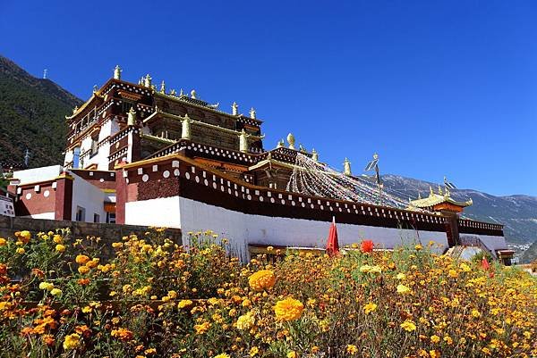 DSC_1190_副本.jpg