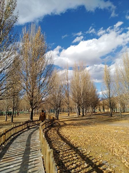 IMG_20181022_164933_副本.jpg