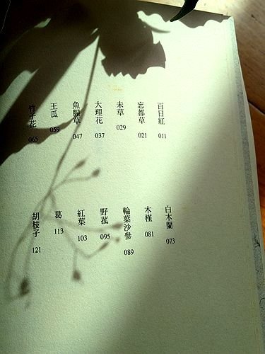 IMG_20201115_121153_副本.jpg