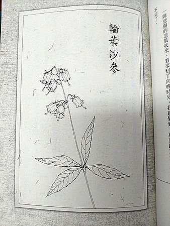IMG_20201115_233332_副本.jpg