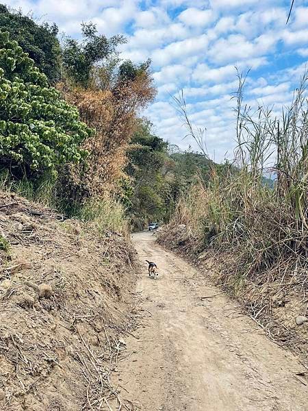 卓蘭挑沙古道