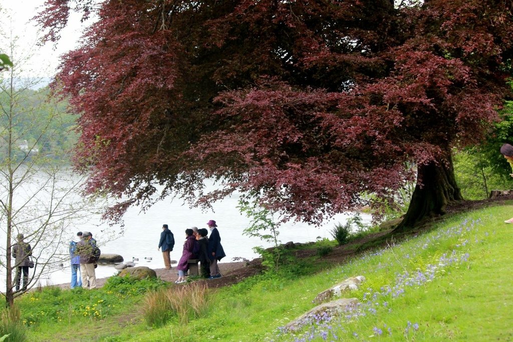 2017英旅札記~~湖區