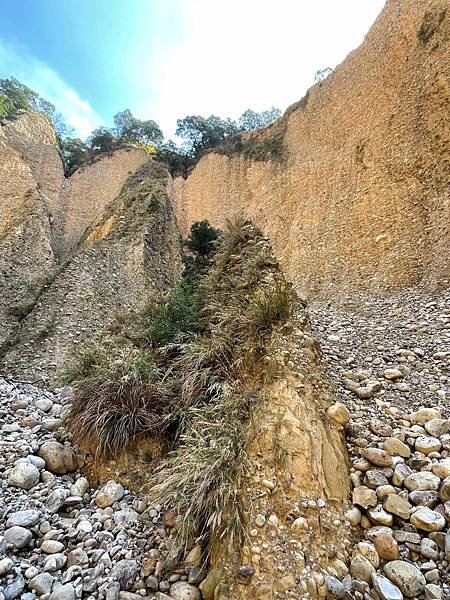 苗栗小旅行之火炎山自然保留區