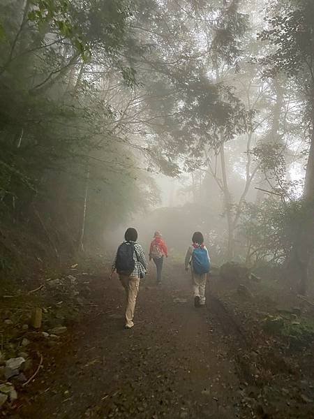 植物教室~船型山林道