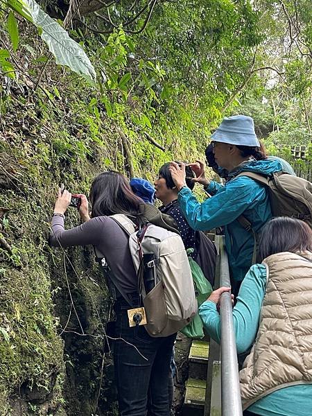 植物教室~峨眉六寮藤坪步道