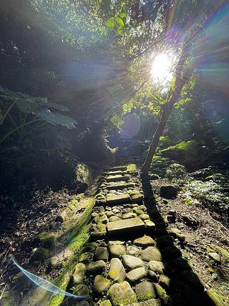 植物教室~峨眉六寮藤坪步道