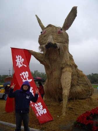 花東縱谷花海-529.JPG