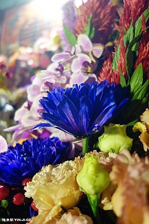 nEO_IMG_DSC01492.jpg