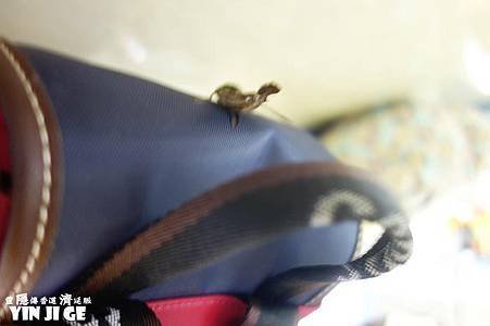 nEO_IMG_DSC01094.JPG