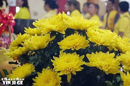 nEO_IMG_DSC01167.JPG