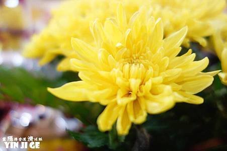 nEO_IMG_DSC01192.JPG