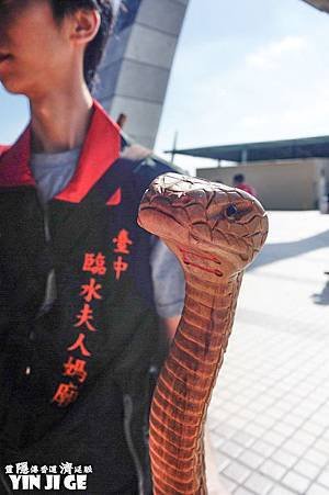 nEO_IMG_DSC02590.jpg