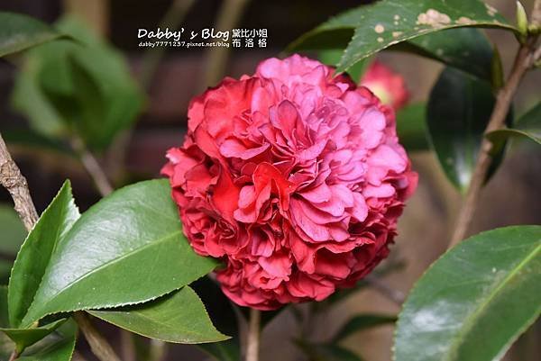 花露休閒農場