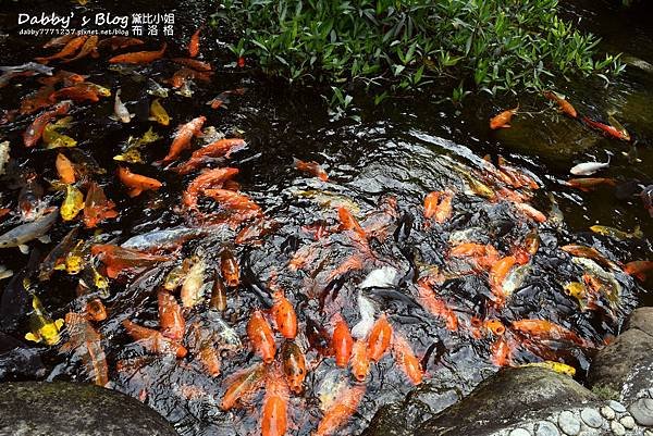 花露休閒農場
