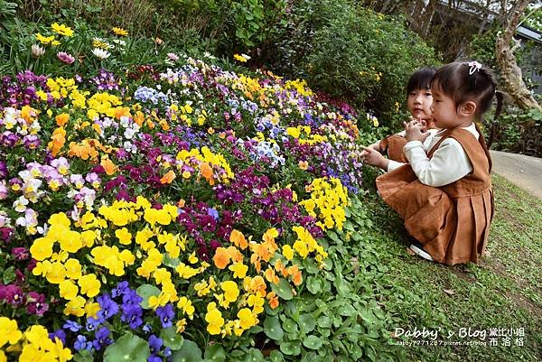 花露休閒農場