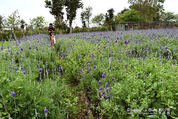 花露休閒農場