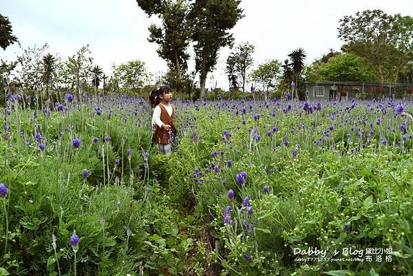 花露休閒農場