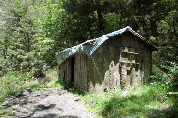 山老鼠橫行的南湖溪山屋