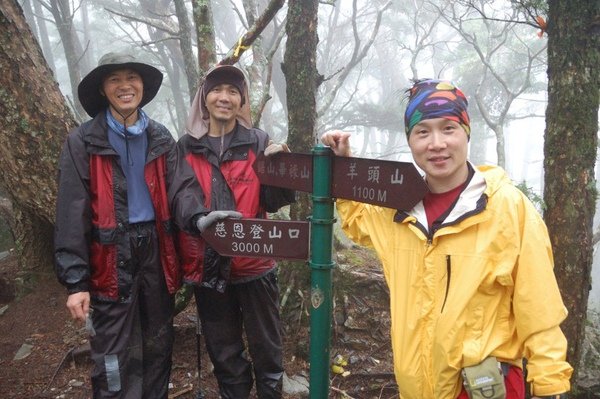 到達羊頭山叉路口...從這起   腳會一路抖 抖 抖 下