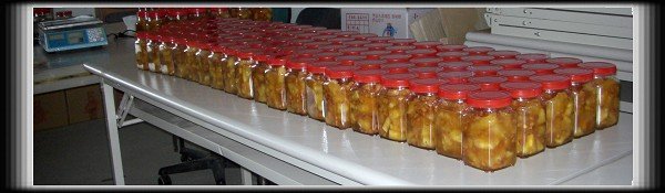HOT鳳梨豆瓣醬-004.jpg
