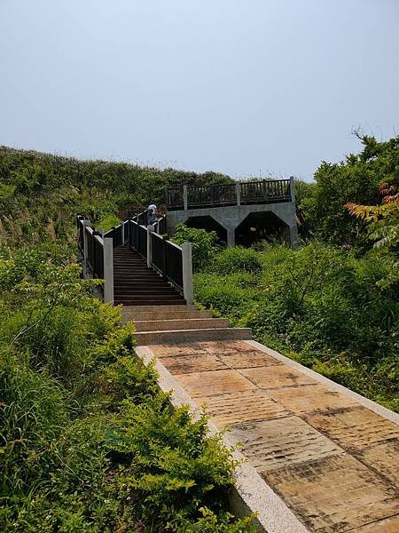 P_20190511_124448.jpg