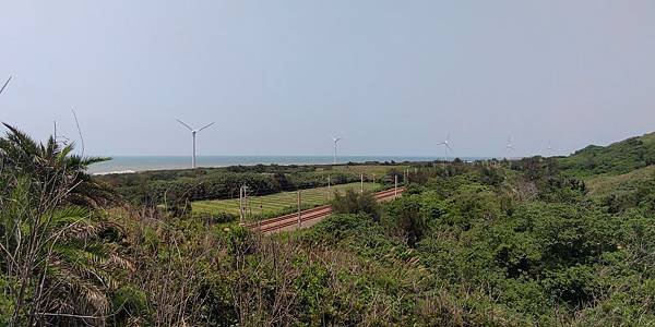 P_20190511_130801.jpg