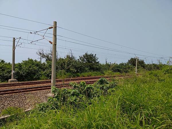 P_20190511_131438.jpg