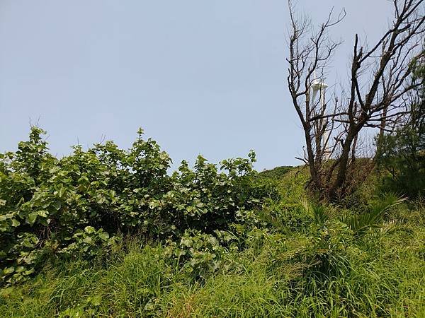 P_20190511_131652.jpg