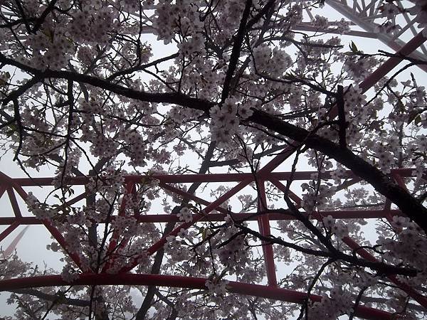 100_5987.JPG