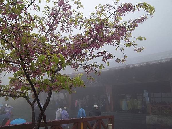 100_6296.JPG