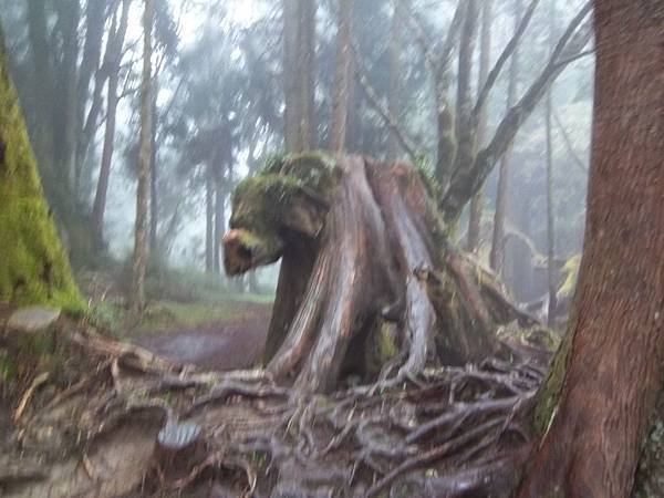 100_6151.JPG