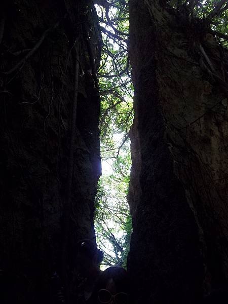 100_6897.JPG