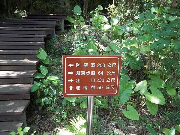 100_6912.JPG