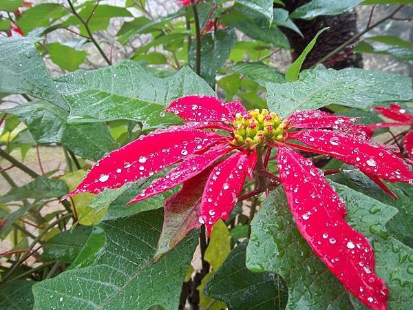 100_2200.JPG