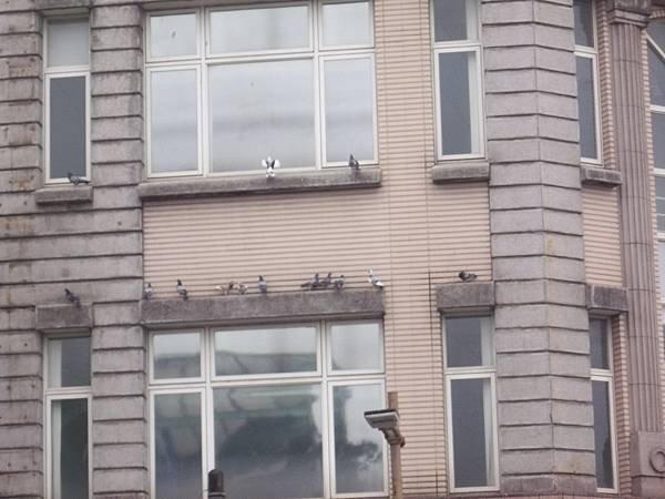 100_5529