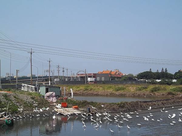 100_6831