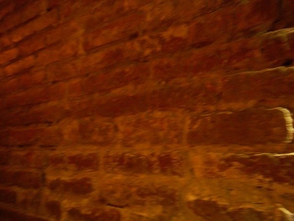 100_3552.JPG