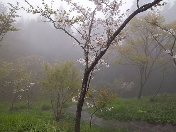 100_6085.JPG