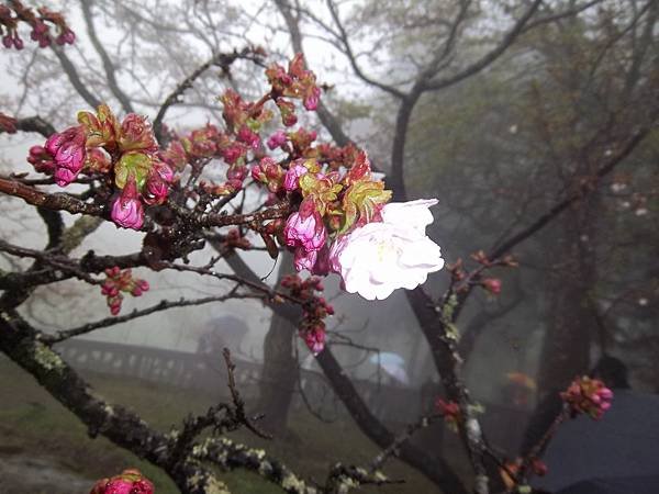 100_6023.JPG