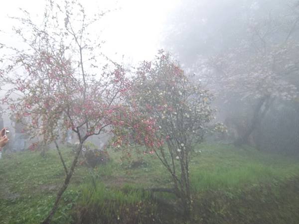 100_5967.JPG